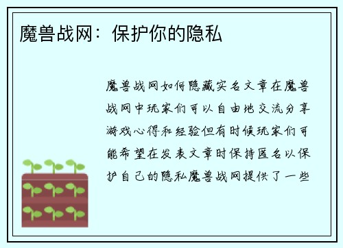 魔兽战网：保护你的隐私